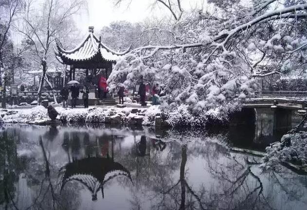 梅花.jpg