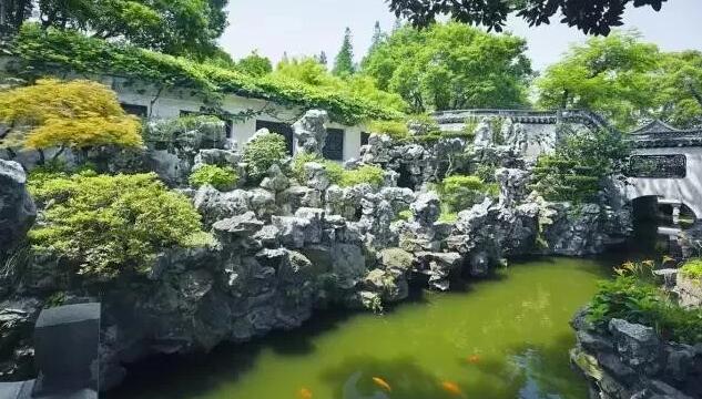 水靈.jpg